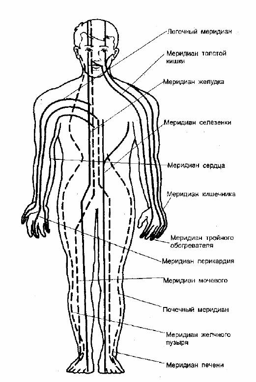 Диагностика по меридианам человека Москва. Мышечная диагностика состояния меридианов