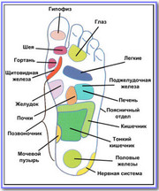 Фут массаж ног - массаж стоп, мышц голени. Профилактика и лечение плоскостопия у детей и взрослых Москва